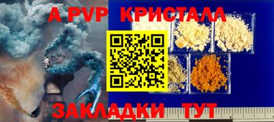 apvp Гусев