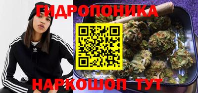 сатива Гусь-Хрустальный