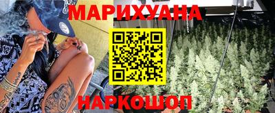 apvp Гусев