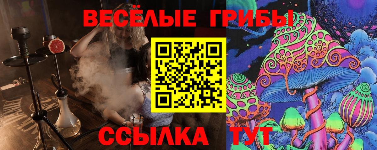 Каменск-Уральский  Галлюциногенные грибы мицелий  Вход с VPN  Псилоцибиновые грибы мухоморы 